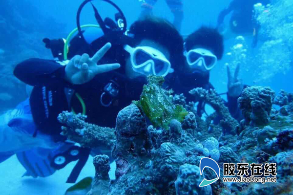 海洋极地世界潜水