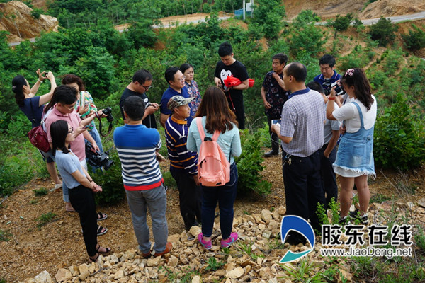 若辽村人口_吉林一村走红,曾由贫困村变身“富豪村”,人口不过千资产却过亿