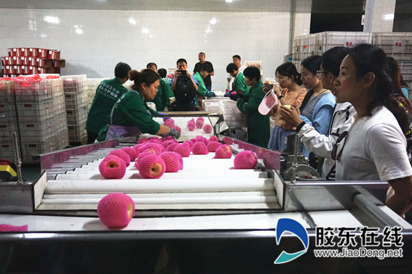 采访团记者们在参观包装流水线_副本