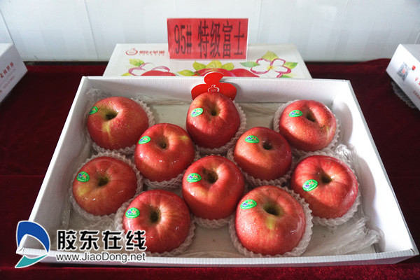 优质果品展示_副本