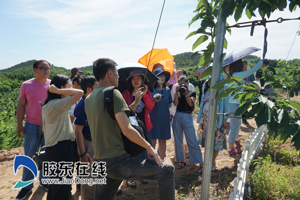 “媒眼看烟台·聚焦现代农业”采访团一行来到烟台福山区大樱桃科技研发中心_副本