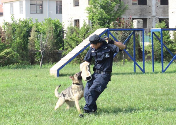 市公安局警犬训练基地正式投入使用