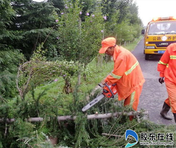 qq图片20180821091931_副本