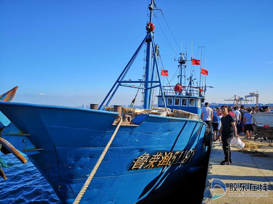 虾兵蟹将扑上岸 探访烟台八角港开海首日