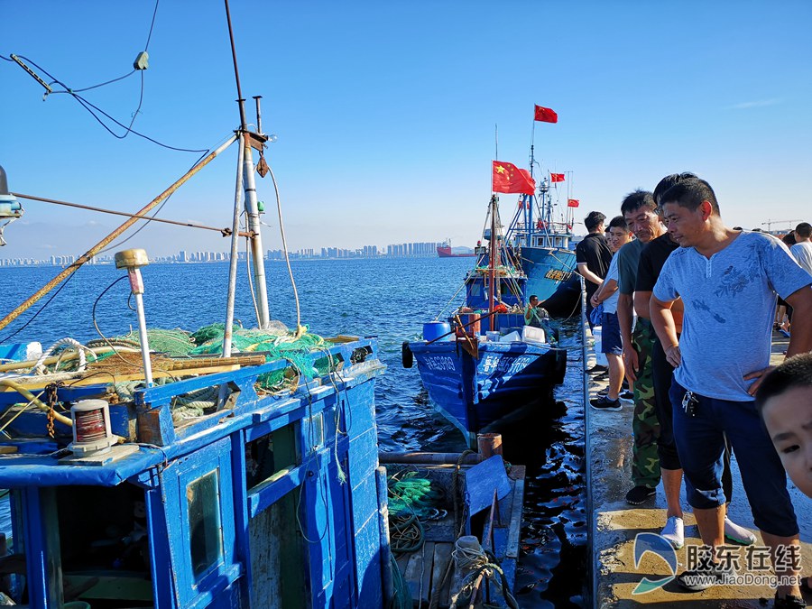 虾兵蟹将扑上岸 探访烟台八角港开海首日