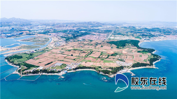 烟台八角湾国际人才港部分区片实景图