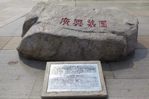 4_副本
