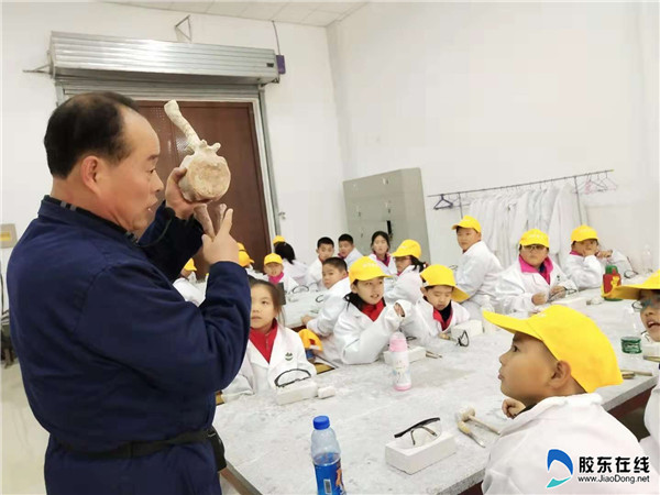 招远市实验小学“ 探秘恐龙之谜” 研学活动1
