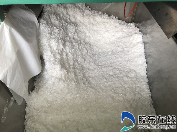 纤维