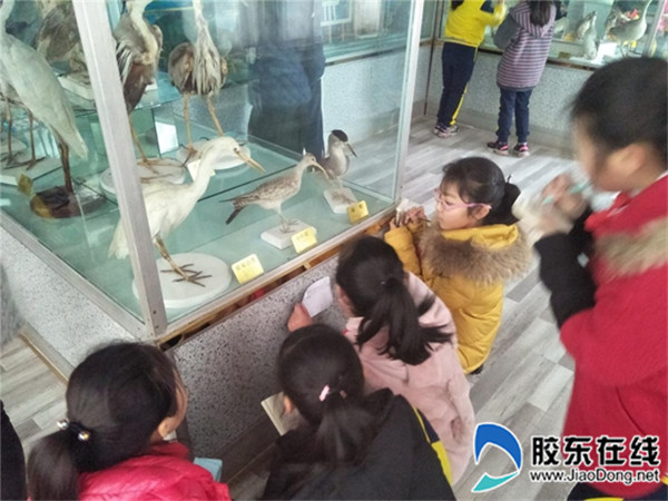 长岛一校开展“我与鸟类交朋友”综合实践活动2