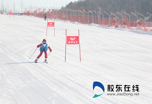 微信图片_20190118222331_副本