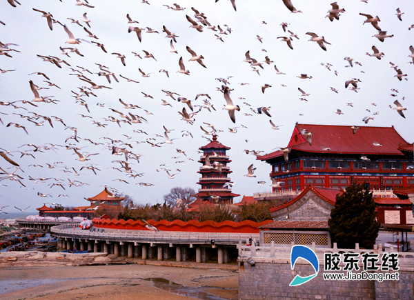 八仙过海景区千鸥翔集