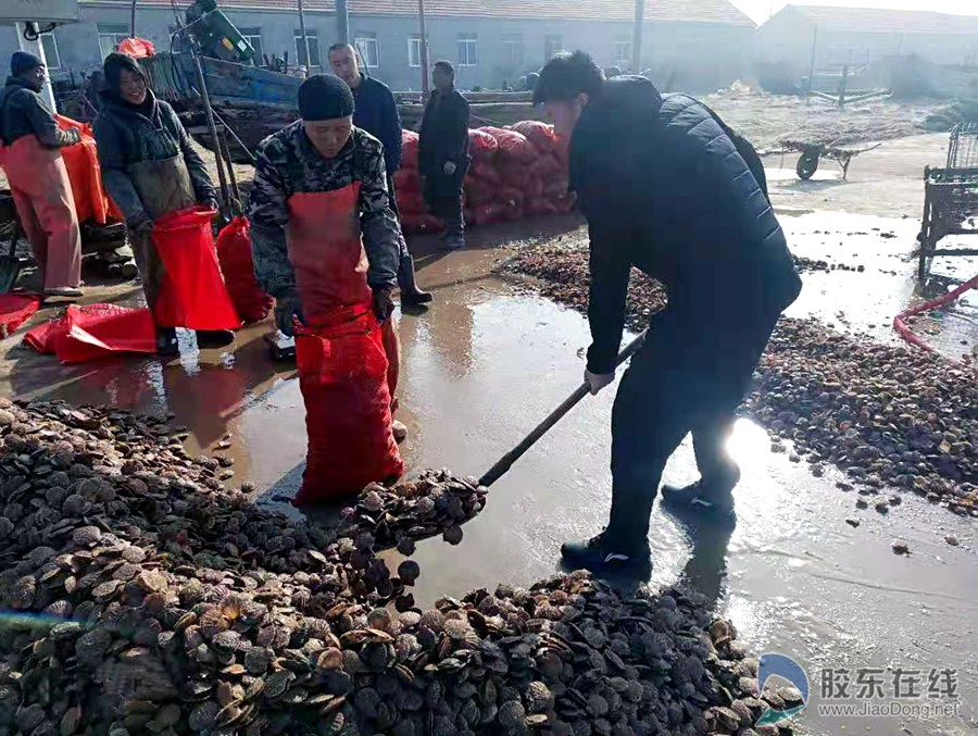 微信图片_20190225114830