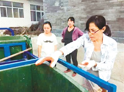 圖為陳立雯在河北省淶水縣南峪村做垃圾分類試點