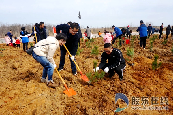 烟台农商银行团委组织青年员工参加植树造林活动