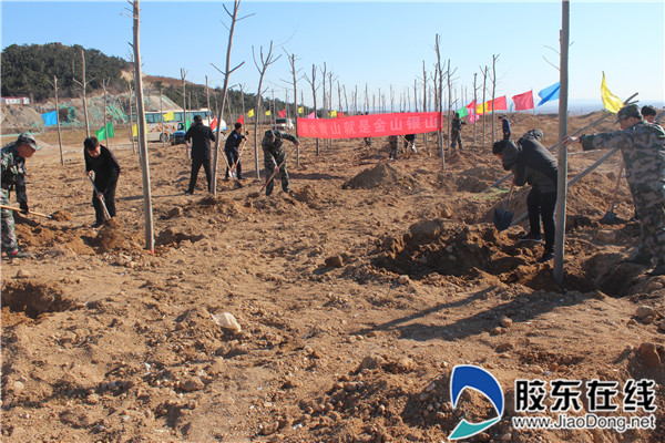 莱州金城镇:实践生态文明 播撒绿色春意