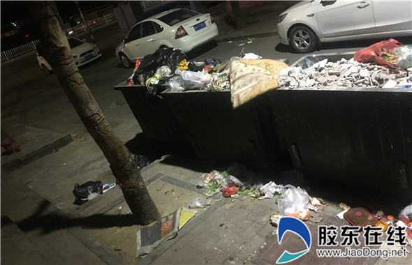 网友供图