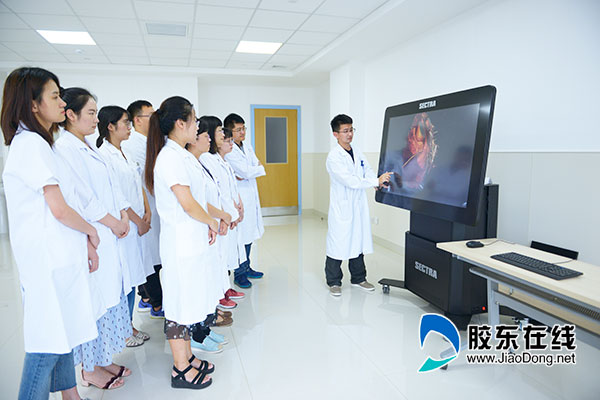 毓璜顶医院3d解剖教学
