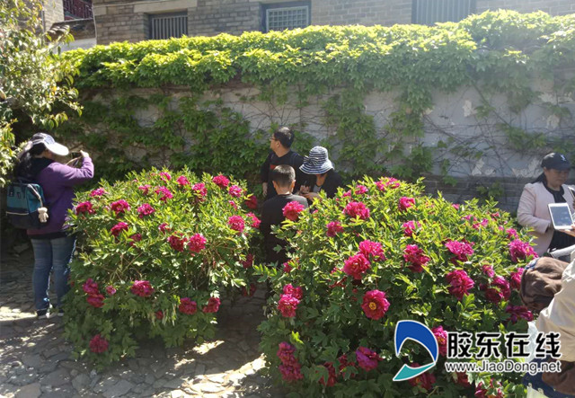 微信图片_20190501141315_副本