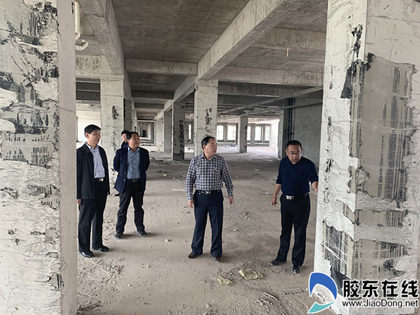 烟台市卫健委领导调研莱阳市妇幼卫生工作1