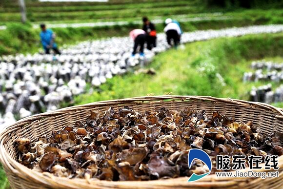 qq图片20190511162728