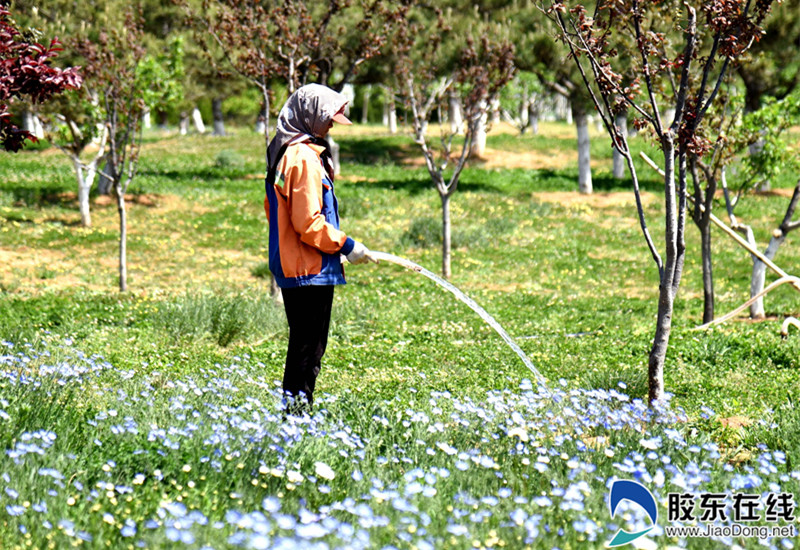 烟台植物园强化日常养护提升精细化管理水平