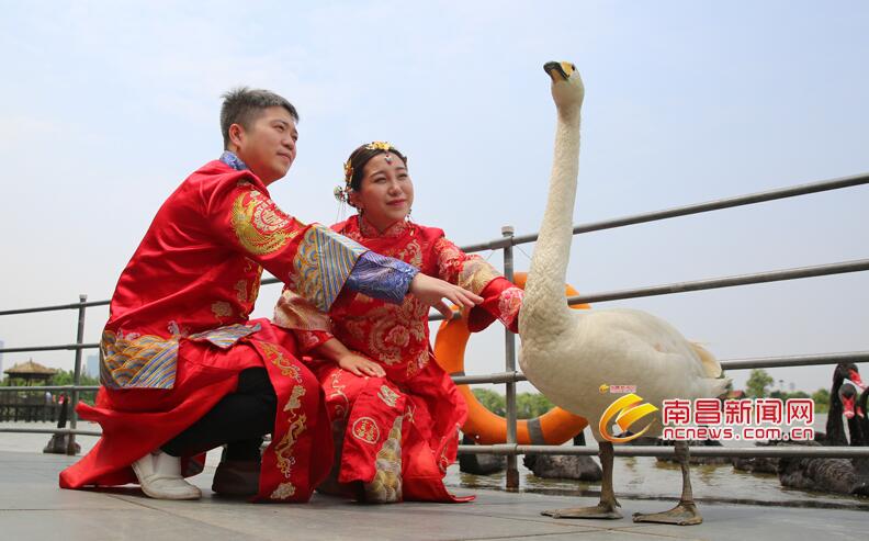 tim截图20190521143052