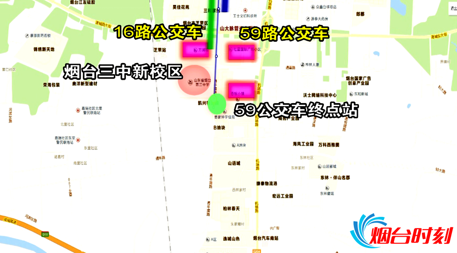 【问政烟台】被公交“卡脖”的南部新城 局长表态：下周就开通