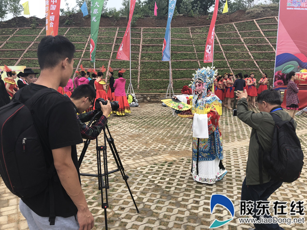 顆顆甘甜等君到 歡聲笑語待明朝
