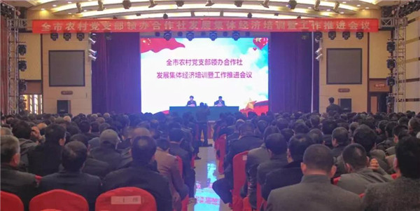 工作推进会