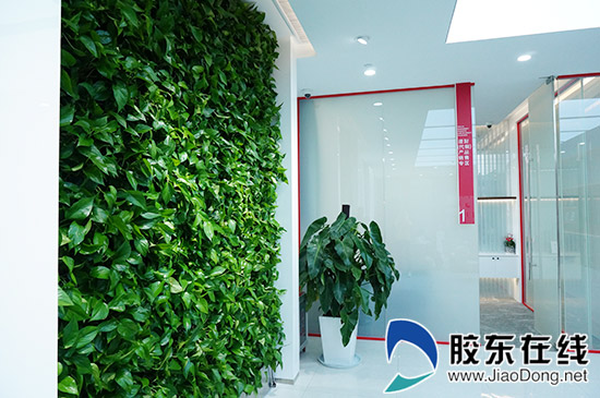 立体植物墙