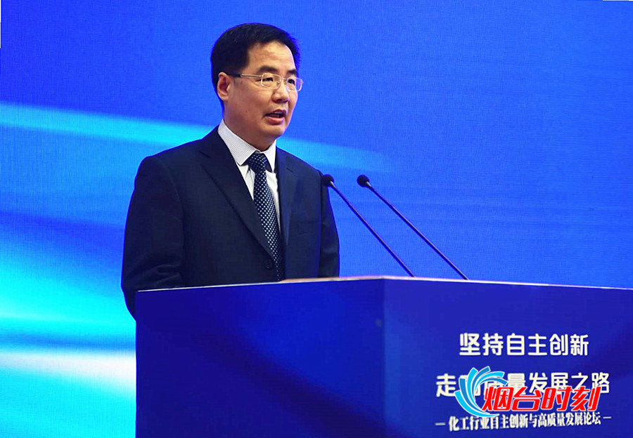 国家发改委产业发展司司长卢卫生讲话_副本
