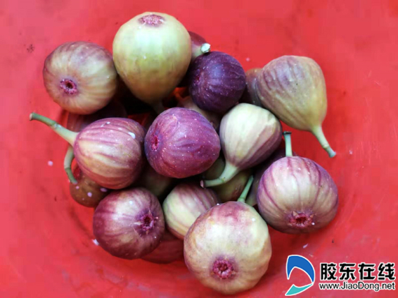 微信图片_20190810210114