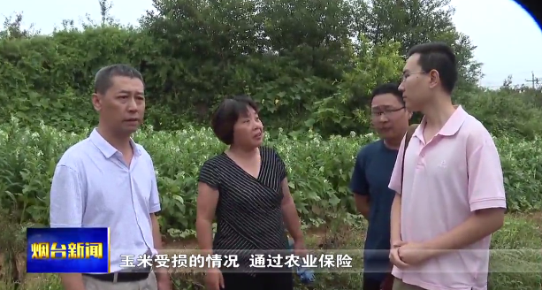 tim截图20190813201235