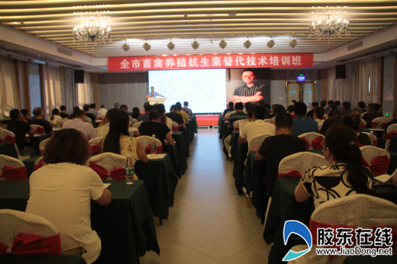 微信图片_20190821162338