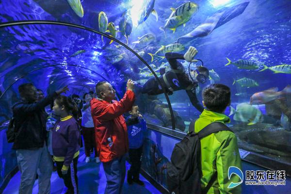 海洋世界海底隧道