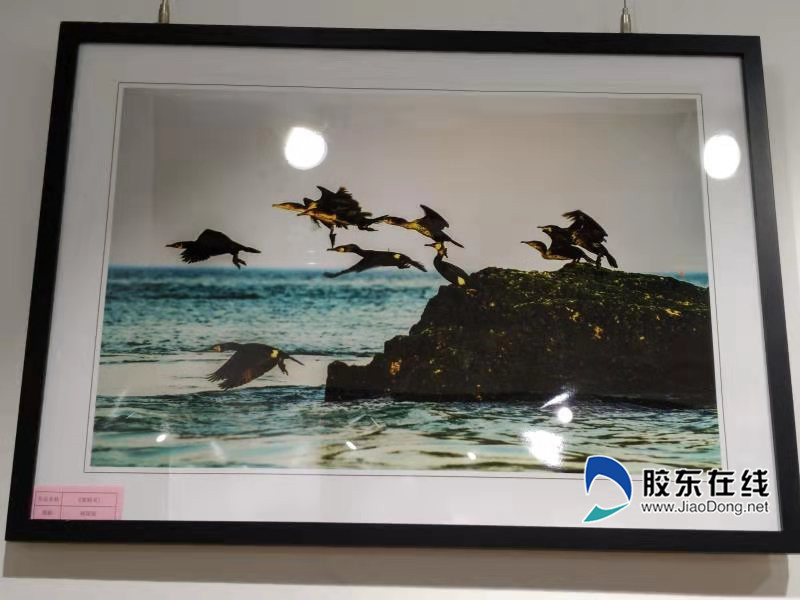 二等獎 《黑精靈》