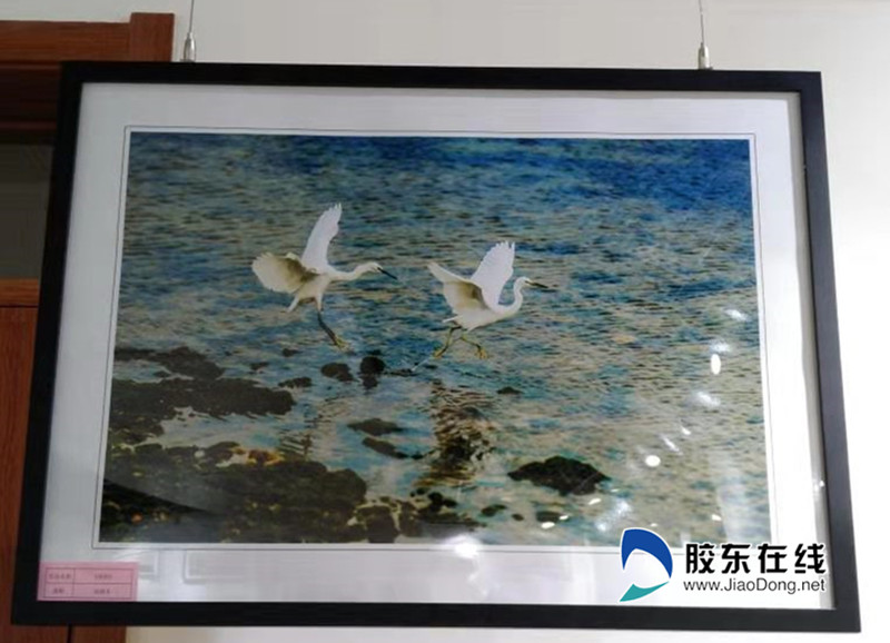 三等獎 《伴侶》