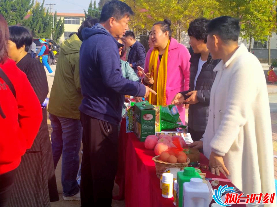 tim图片20191031105306