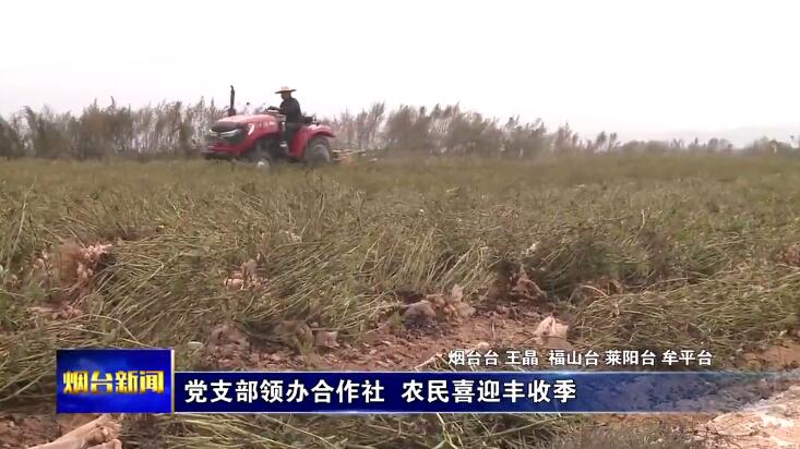 qq截图20191104193746
