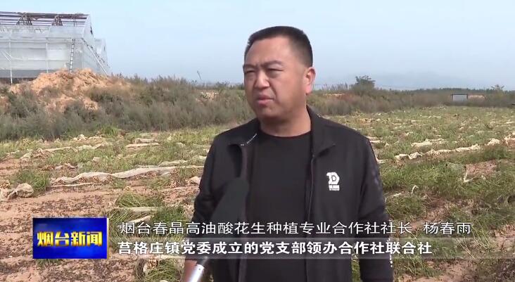 qq截图20191104193758