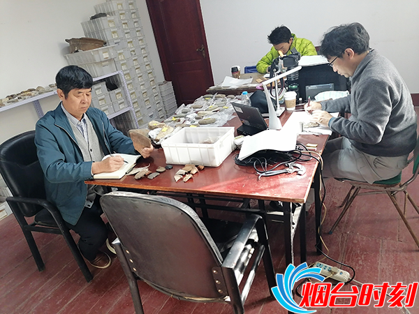 考古工作进行中