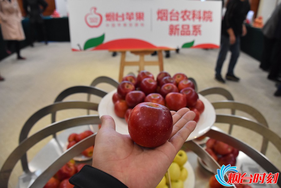 烟台苹果(资料图)