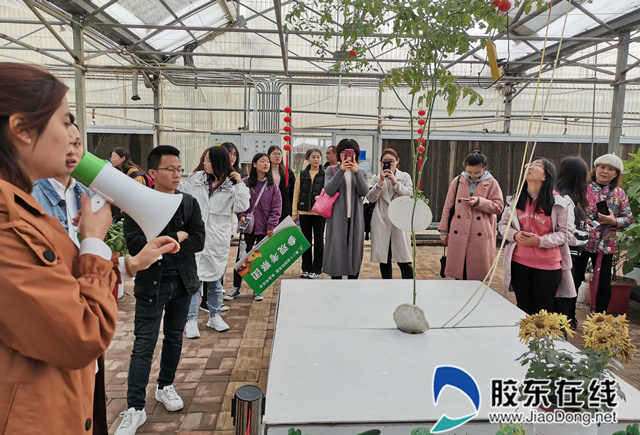 微信图片_20191110111911_副本