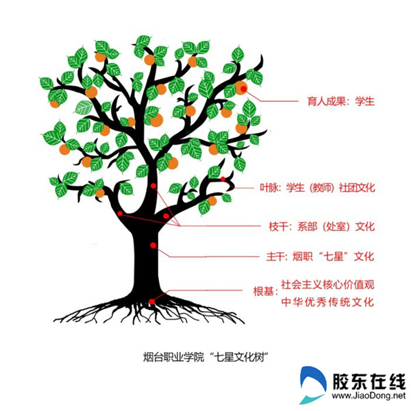 201912020910425413_副本