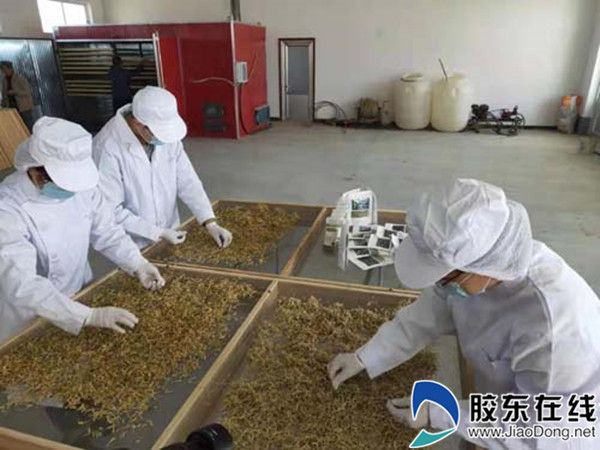 微信圖片_20200131165731_副本