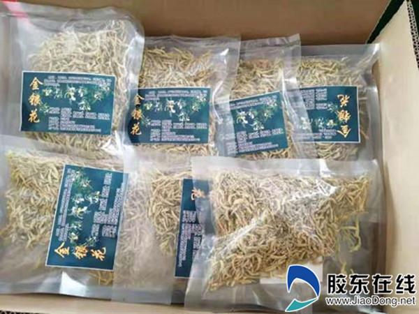 微信圖片_20200131165736_副本