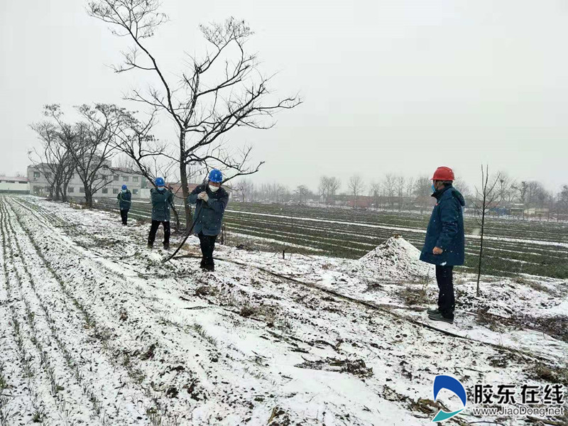 微信图片_20200203141909_副本