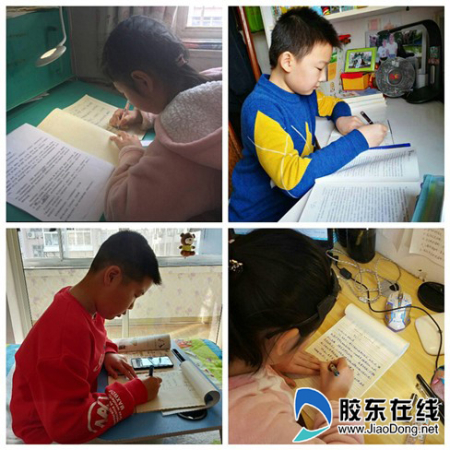 图片15
