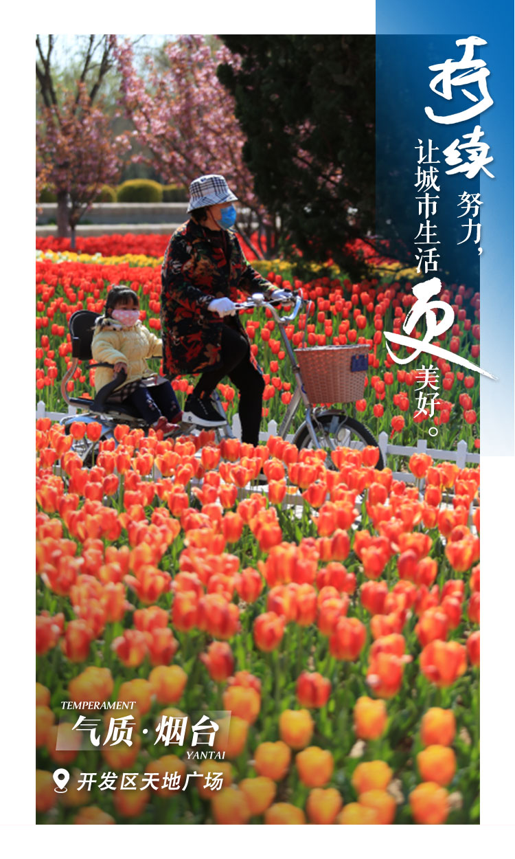 照片7